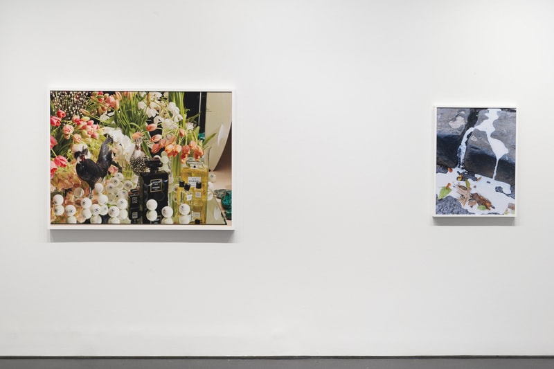 Roe Ethridge American Polychronic Gagosian Exhibition