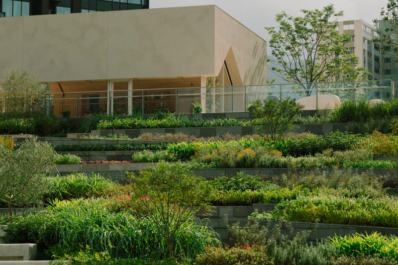 Snøhetta Pavilia Farm Clubhouse Hong Kong