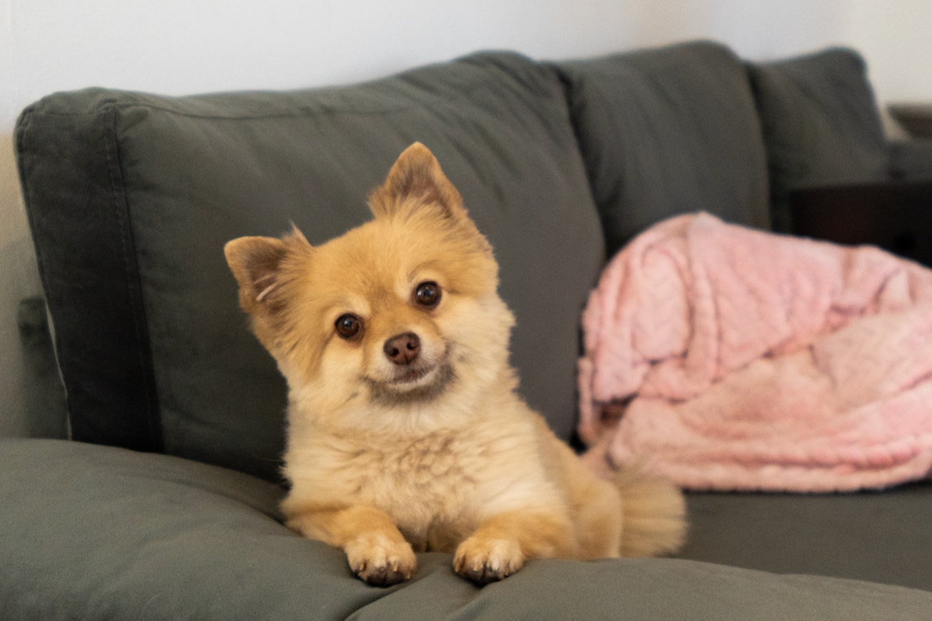 Hypeart Visits: Greg Ito