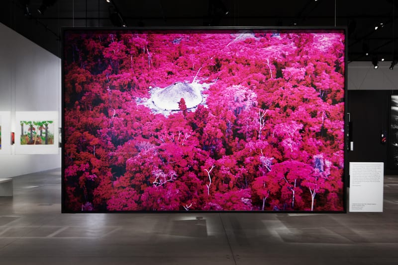 The Shed Spotlights the Culture and Struggle of the Yanomami People