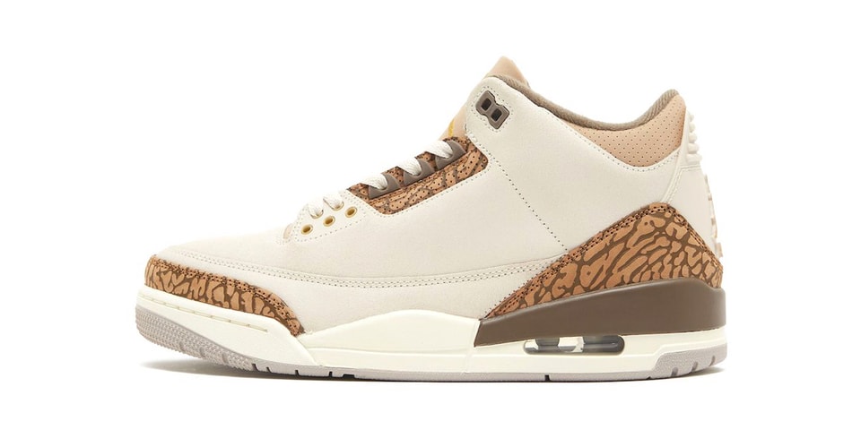 Detailed Look at the Air Jordan 3 "Palomino"