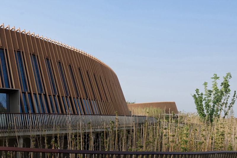 EID  panda pavilion chengdu research center ring shaped china arch exiust atelier ping jiang opening news info