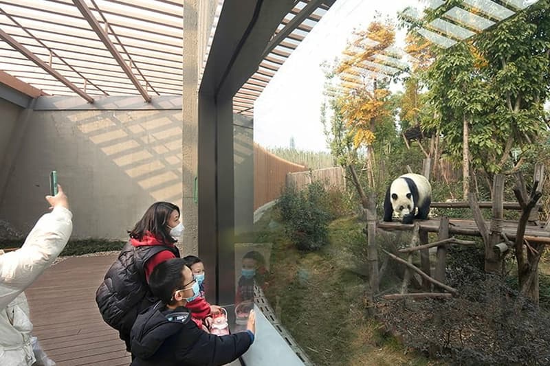 EID panda pavilion chengdu research center ring shaped china arch exiust atelier ping jiang opening news info