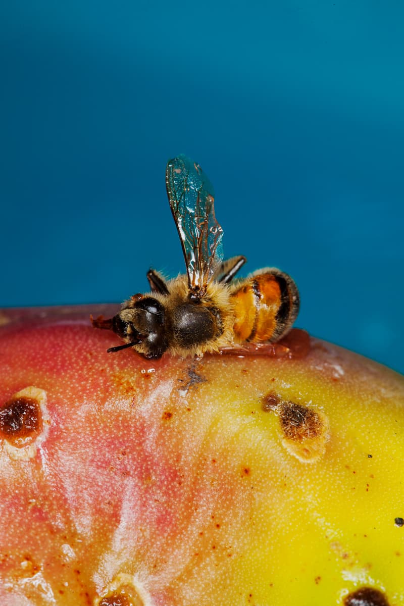 Ketabi Bourdet Premiers Vertiges Exhibition Art Paris