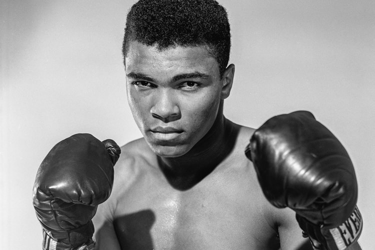 Regé-Jean Page, Morgan Freeman and Kevin Willmott Developing Muhammad Ali Series