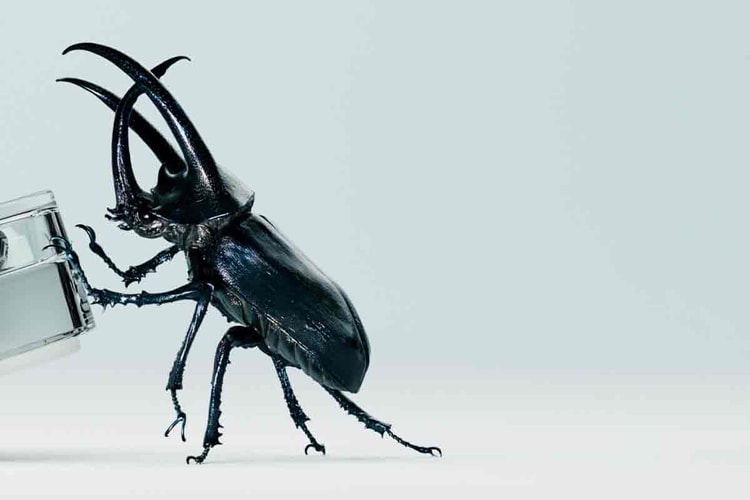 Nothing Teases the Launch of the New ear (2)