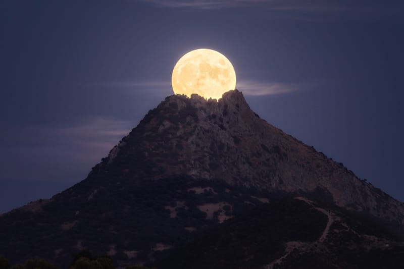 Sony Announces Winners of World Photography Awards 2023