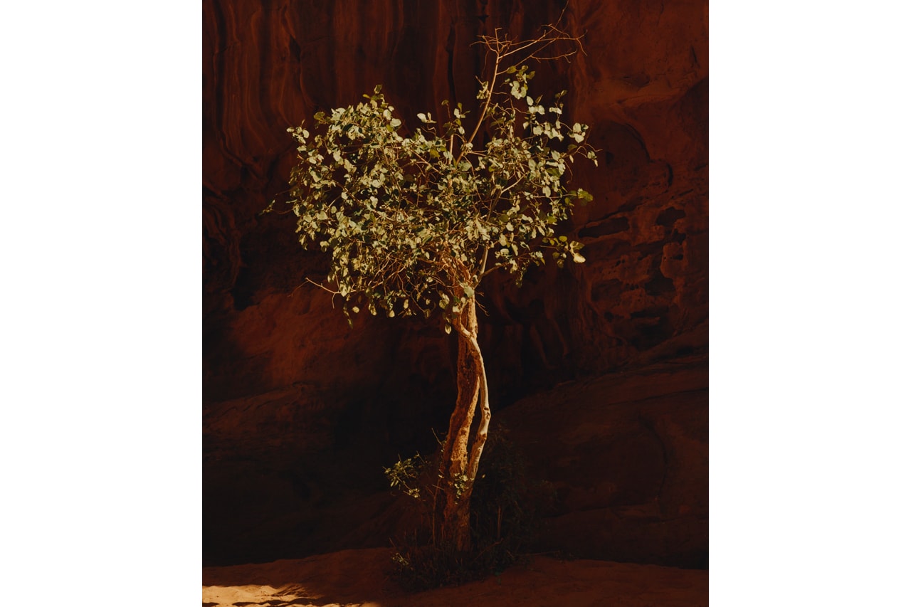 Through the Lens: Théo de Gueltzl