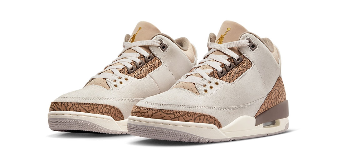 On-feet look at the Air Jordan 3 #Palomino set for August 19th.
