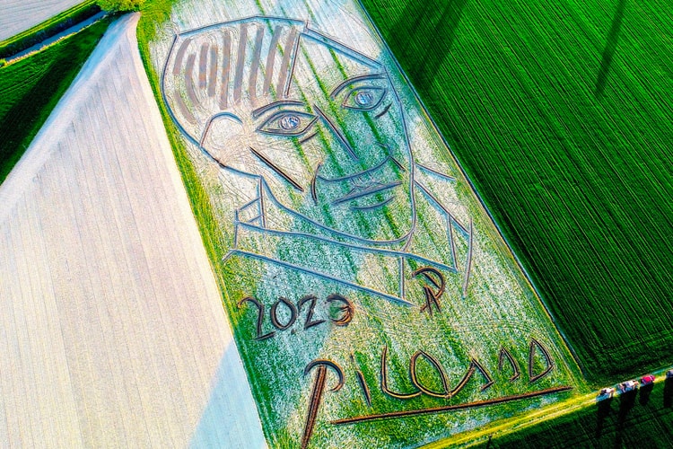 Artist Dario Gambarin Created a Massive Land Art Portrait of Pablo Picasso