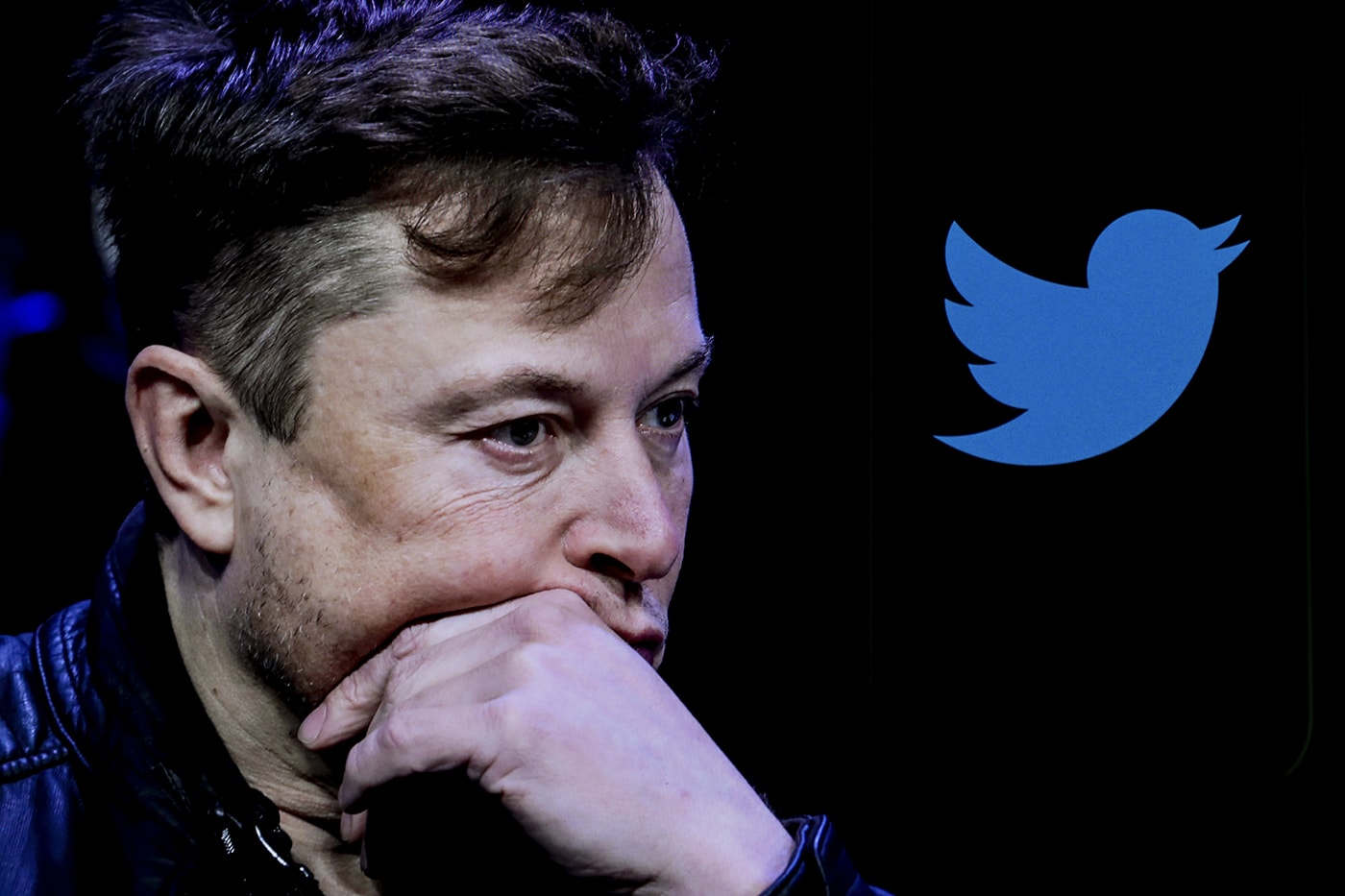 Elon Musk's Twitter Updates So You Can't Tell Who Paid for a Blue Check Anymore verified user description tesla ceo 44 billion deal acquisition tech billionaire spacex ceo 
