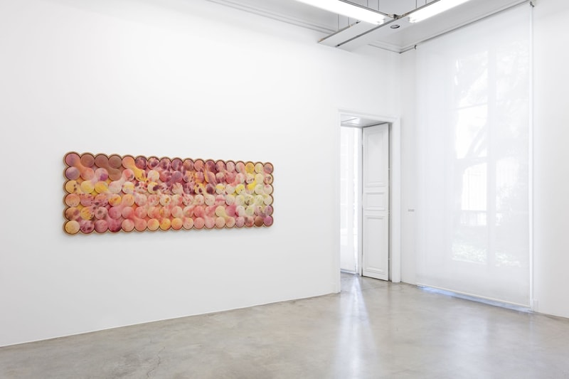 Josh Sperling Head Over Heels Perrotin Exhibition