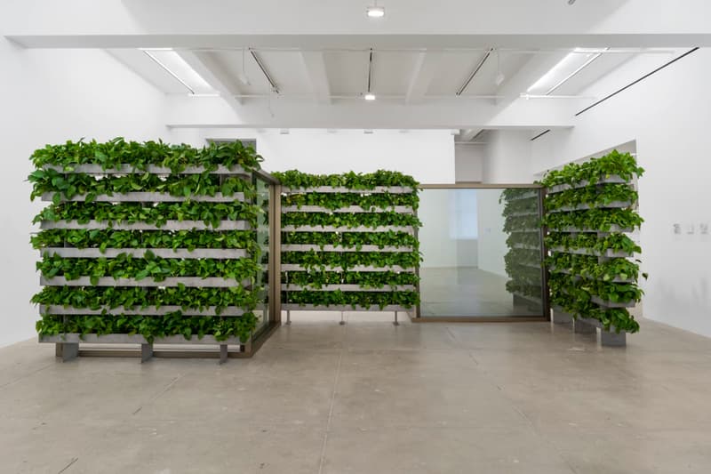Marian Goodman Gallery Peter Fischli Exhibition NYC