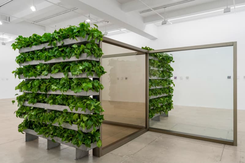 Marian Goodman Gallery Peter Fischli Exhibition NYC
