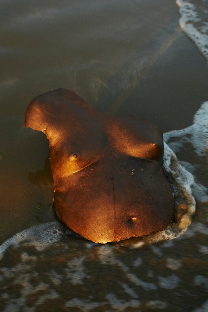 Misha Japanwala Traces of Shamelessness Hannah Traore