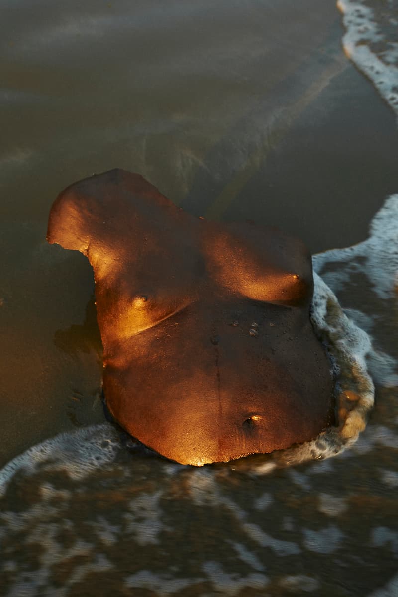 Misha Japanwala Traces of Shamelessness Hannah Traore