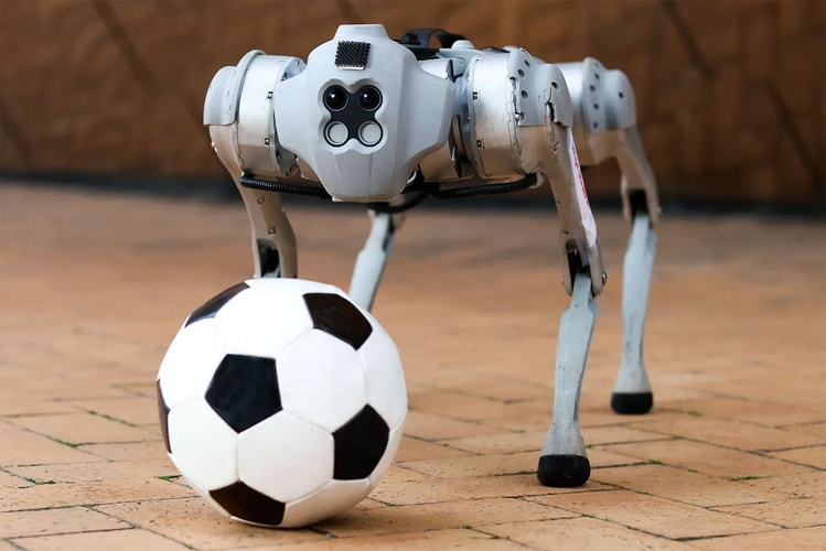 MIT's Dribblebot Can Play Soccer on Different Terrains