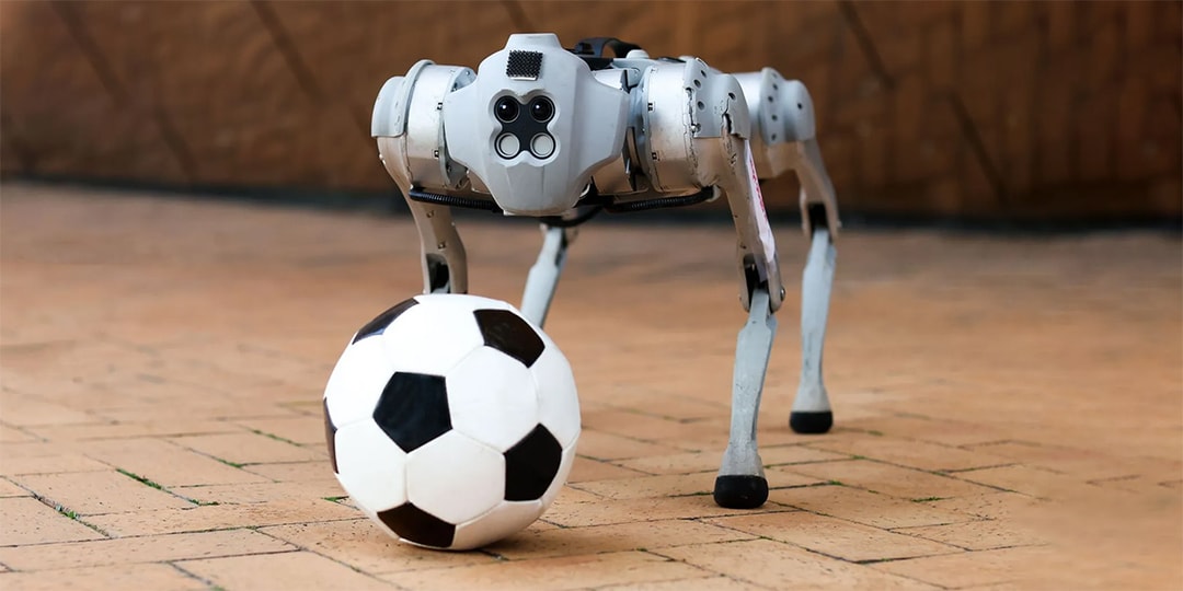 A four-legged robotic system for playing soccer on various terrains, MIT  News