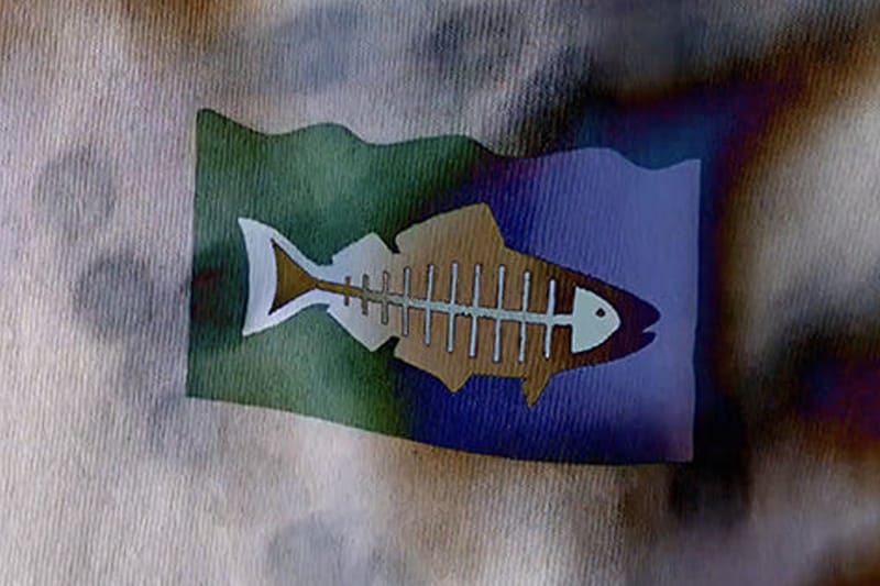 Stüssy Taps Heal the Bay For a Second Collection