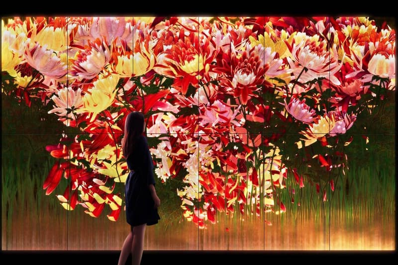 teamLab Presents Animal Kingdom Group Exhibition in Sweden nordic watercolor museum flower and corpse life survives nirvana proliferating immense life sunrise sunset info dates