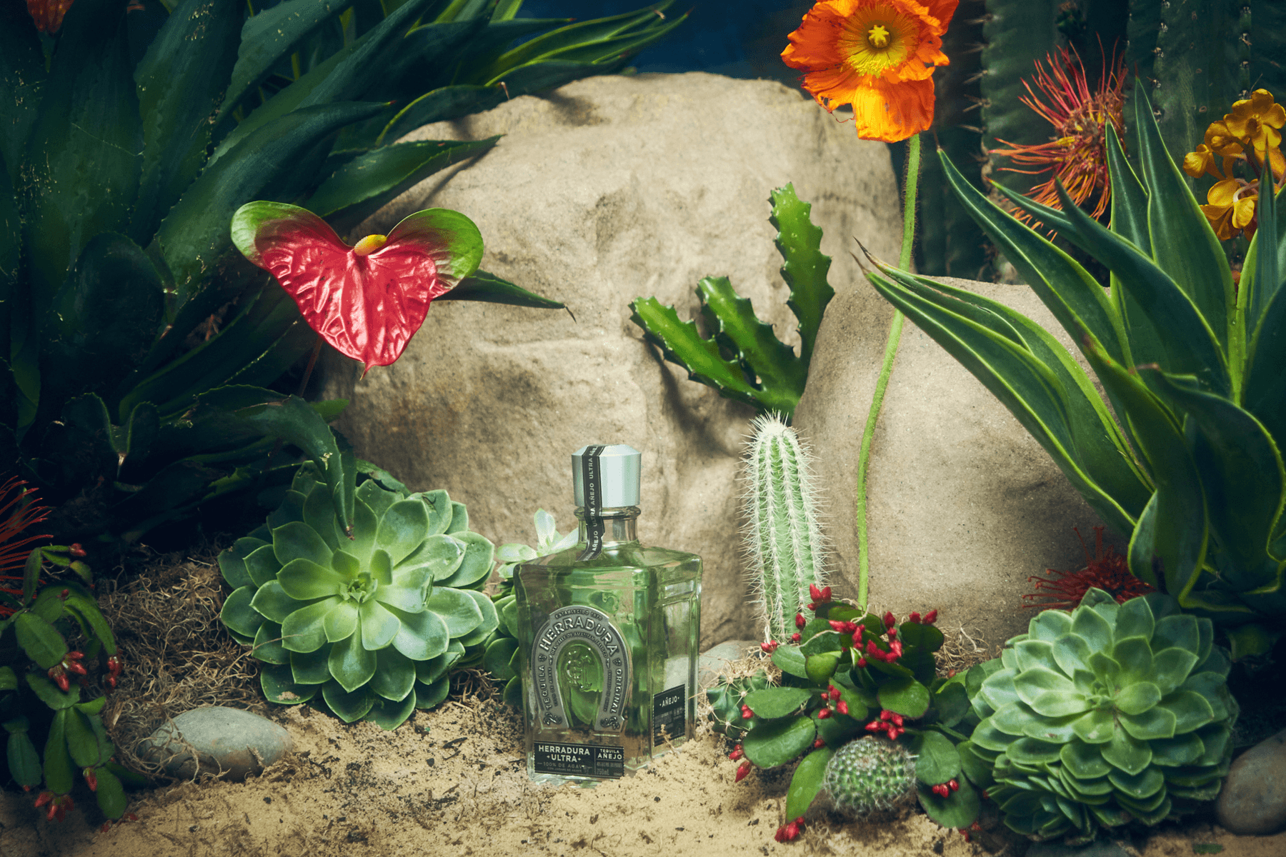 Tequila Herradura Extraordinary People Campaign Photoshoot Lookbook Interview Mark Clennon Nikki Nelms Danie Sierra Agave Kilo Kews Cassandra Mayela