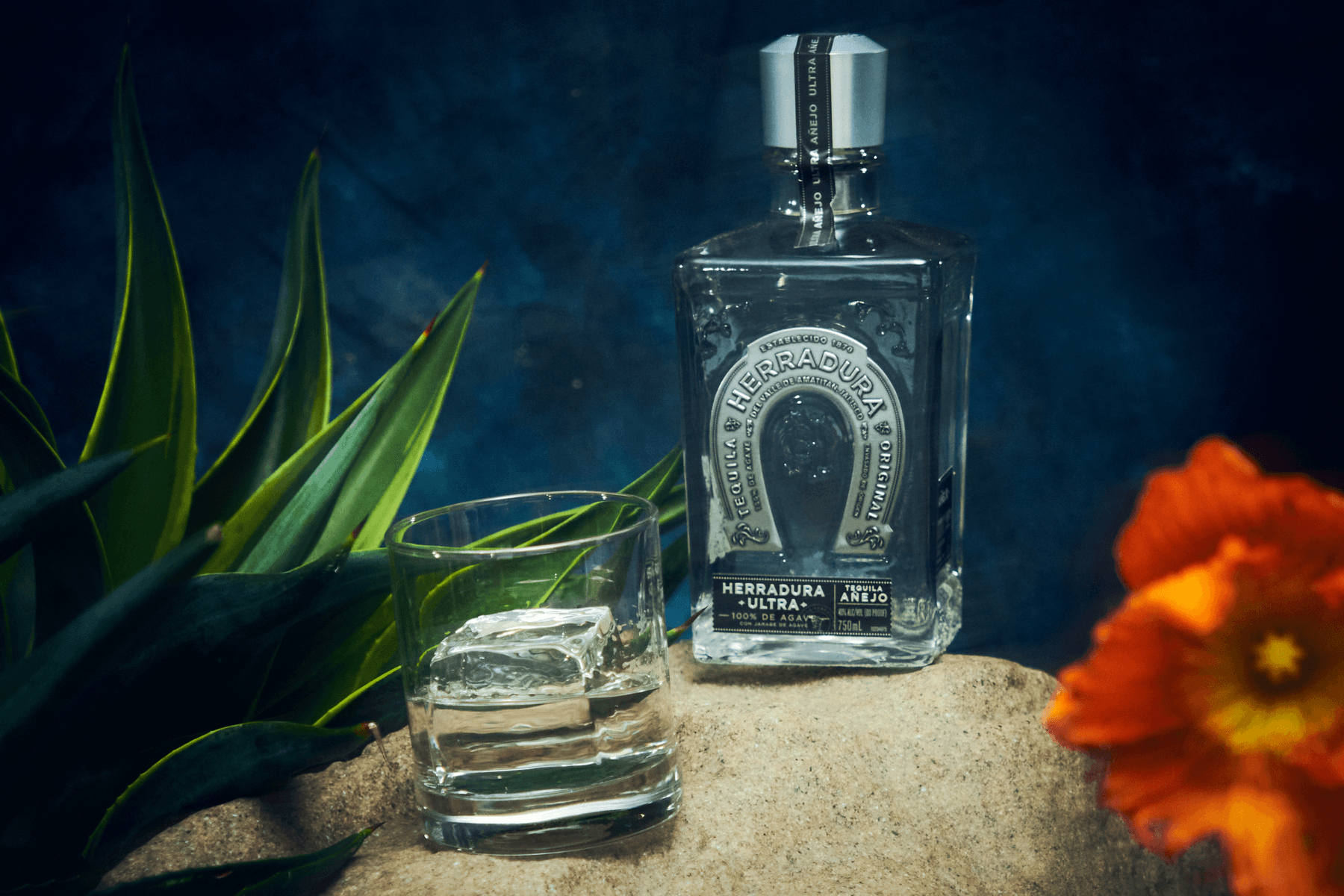 Tequila Herradura Extraordinary People Campaign Photoshoot Lookbook Interview Mark Clennon Nikki Nelms Danie Sierra Agave Kilo Kews Cassandra Mayela