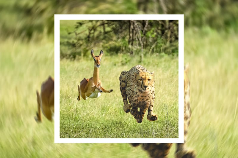 Thundercat and Tame Impala Complement Each Other on New Single "No More Lies"