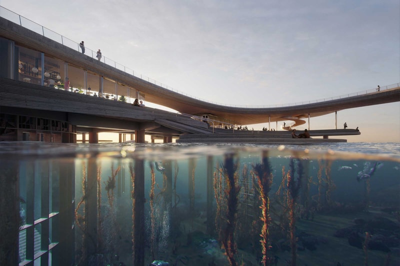 Fjordarium to Offer Underwater Views of Marine Life on Oslo Waterfront Haptic Architects Oslo Works Fornebu Brygge AS BOGL NIVA info 