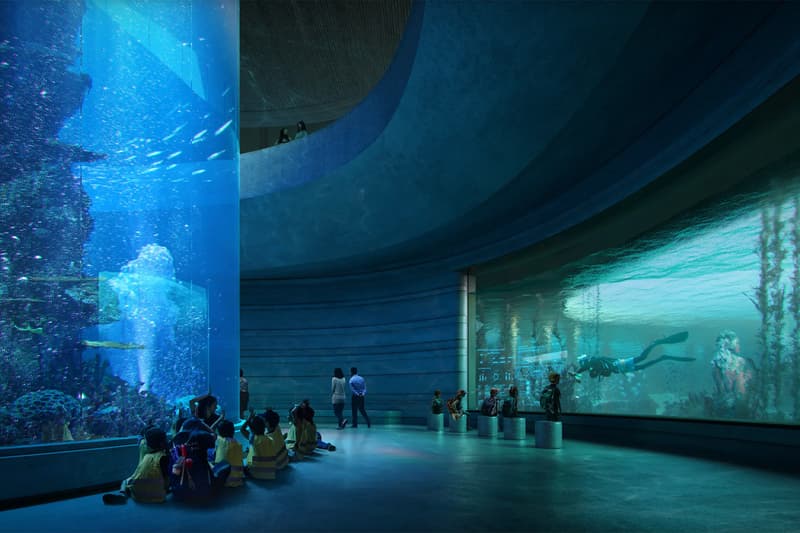 Fjordarium to Offer Underwater Views of Marine Life on Oslo Waterfront Haptic Architects Oslo Works Fornebu Brygge AS BOGL NIVA info 