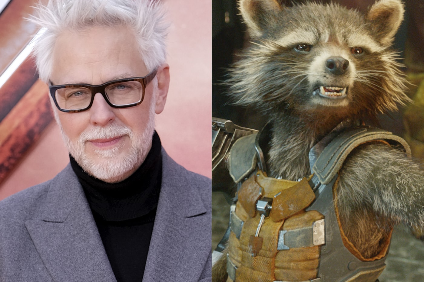James Gunn Receives PETA Award guardians of the galaxy vol 3 rocket raccoon storyline