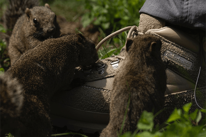 The nonnative x Timberland Euro Hiker Is Destined for Uphill Adventures