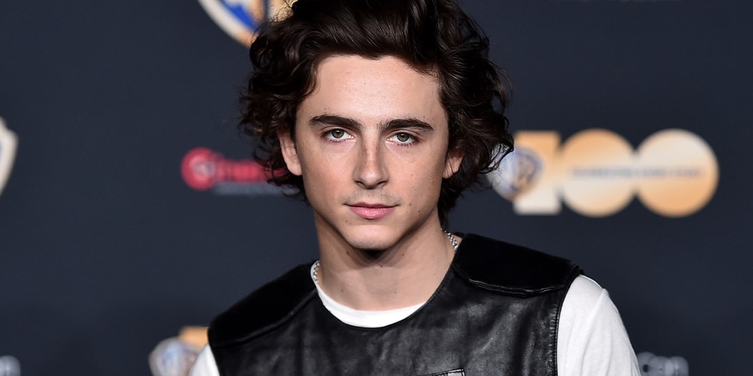 Timothee Chalamet Is the New Face of Bleu De Chanel Fragrance