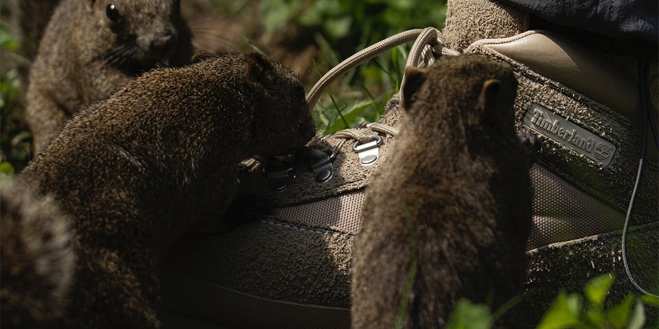 The nonnative x Timberland Euro Hiker Is Destined for Uphill Adventures