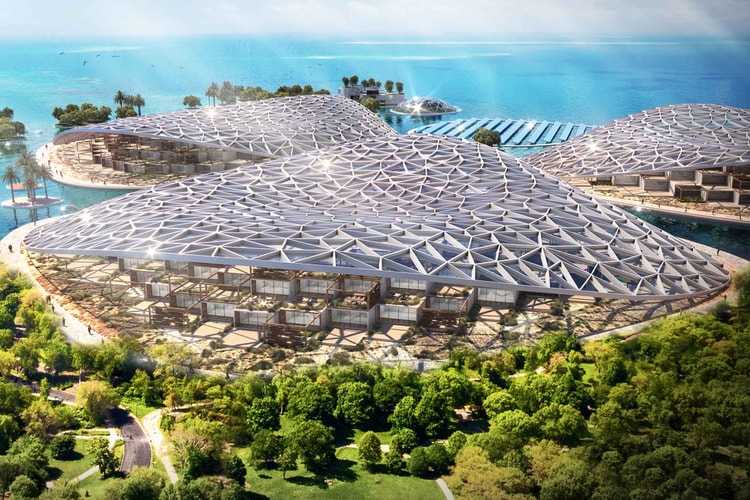 URB Unveils World's Largest Ocean Restoration Project in Dubai