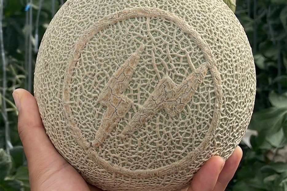 Fragment Design logo grown on a melon