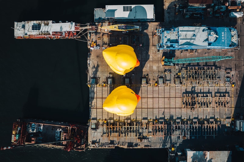 Florentijn Hofman's Giant Rubber Ducks Return to Hong Kong