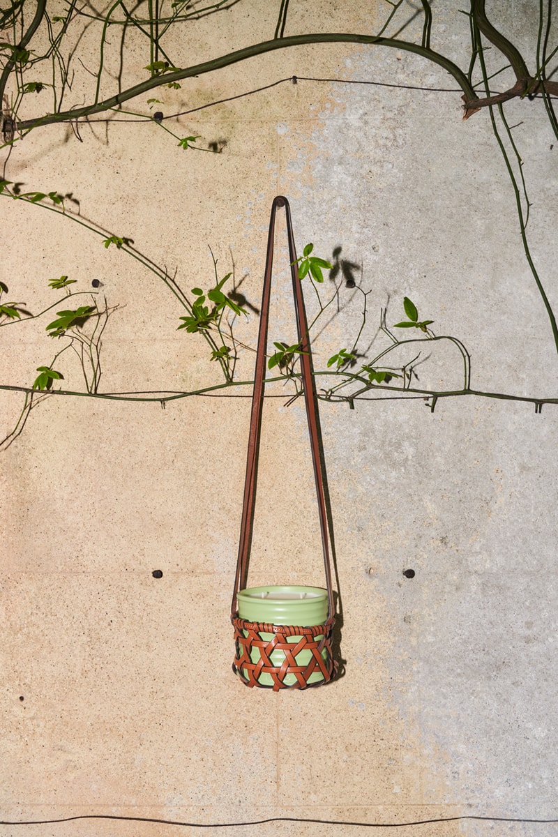 loewe releases floral home scents campaign charlie mccormick flowers garden orange blossom thyme geranium