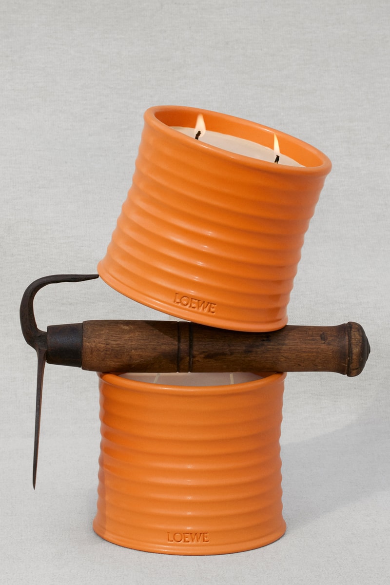 loewe releases floral home scents campaign charlie mccormick flowers garden orange blossom thyme geranium