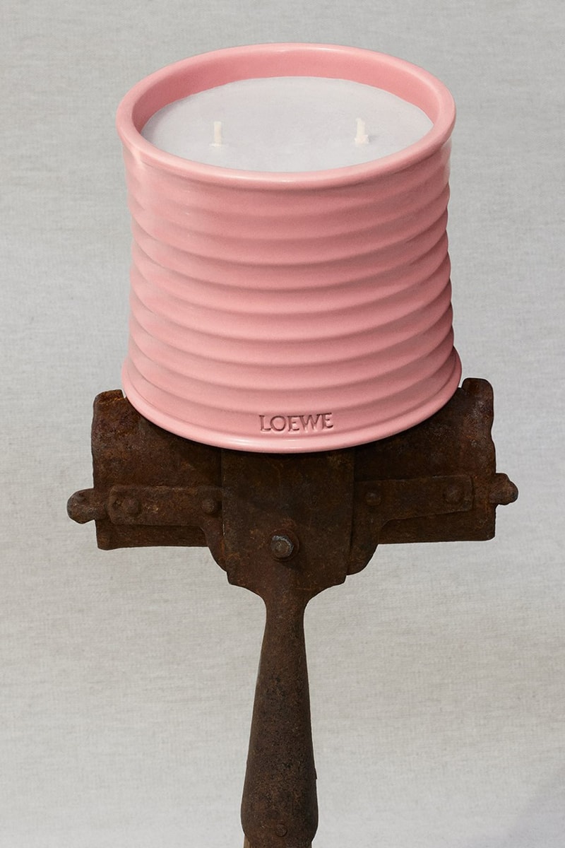 loewe releases floral home scents campaign charlie mccormick flowers garden orange blossom thyme geranium