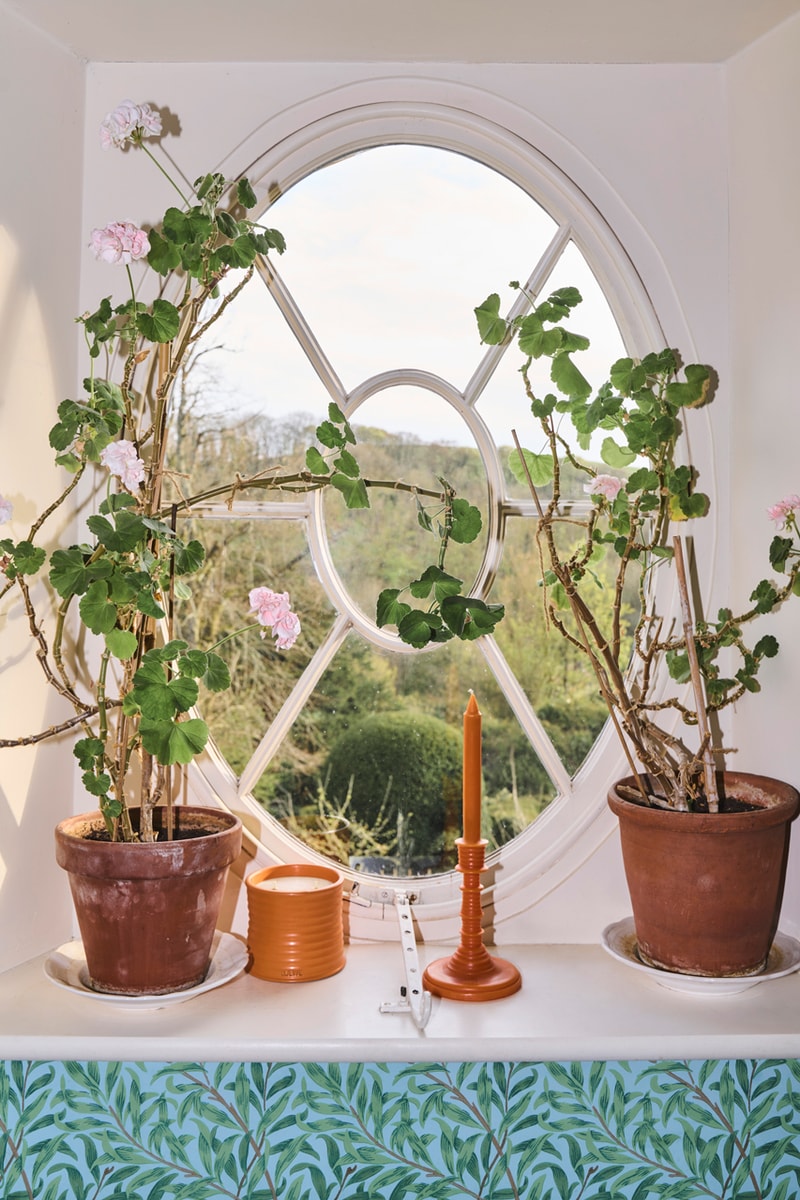 loewe releases floral home scents campaign charlie mccormick flowers garden orange blossom thyme geranium