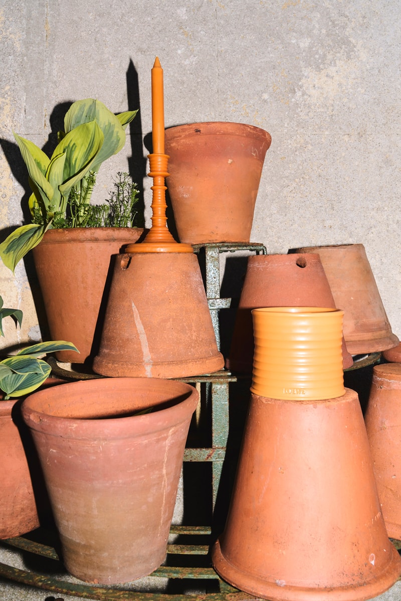 loewe releases floral home scents campaign charlie mccormick flowers garden orange blossom thyme geranium