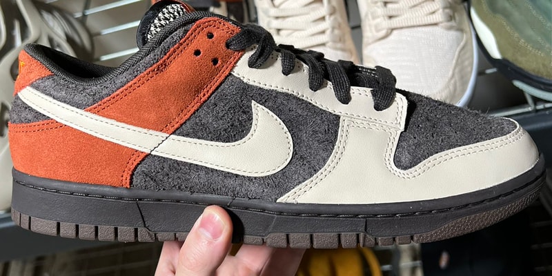 Nike Dunk Low Red Panda FV0305-200 Release Info - Vimarsana News