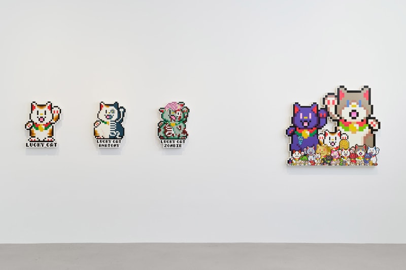 Takashi Murakami Understanding the New Cognitive Domain