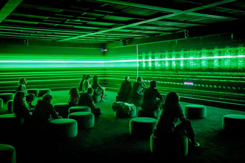 ‘The Great Animal Orchestra’ Returns on View at the Exploratorium in San Francisco