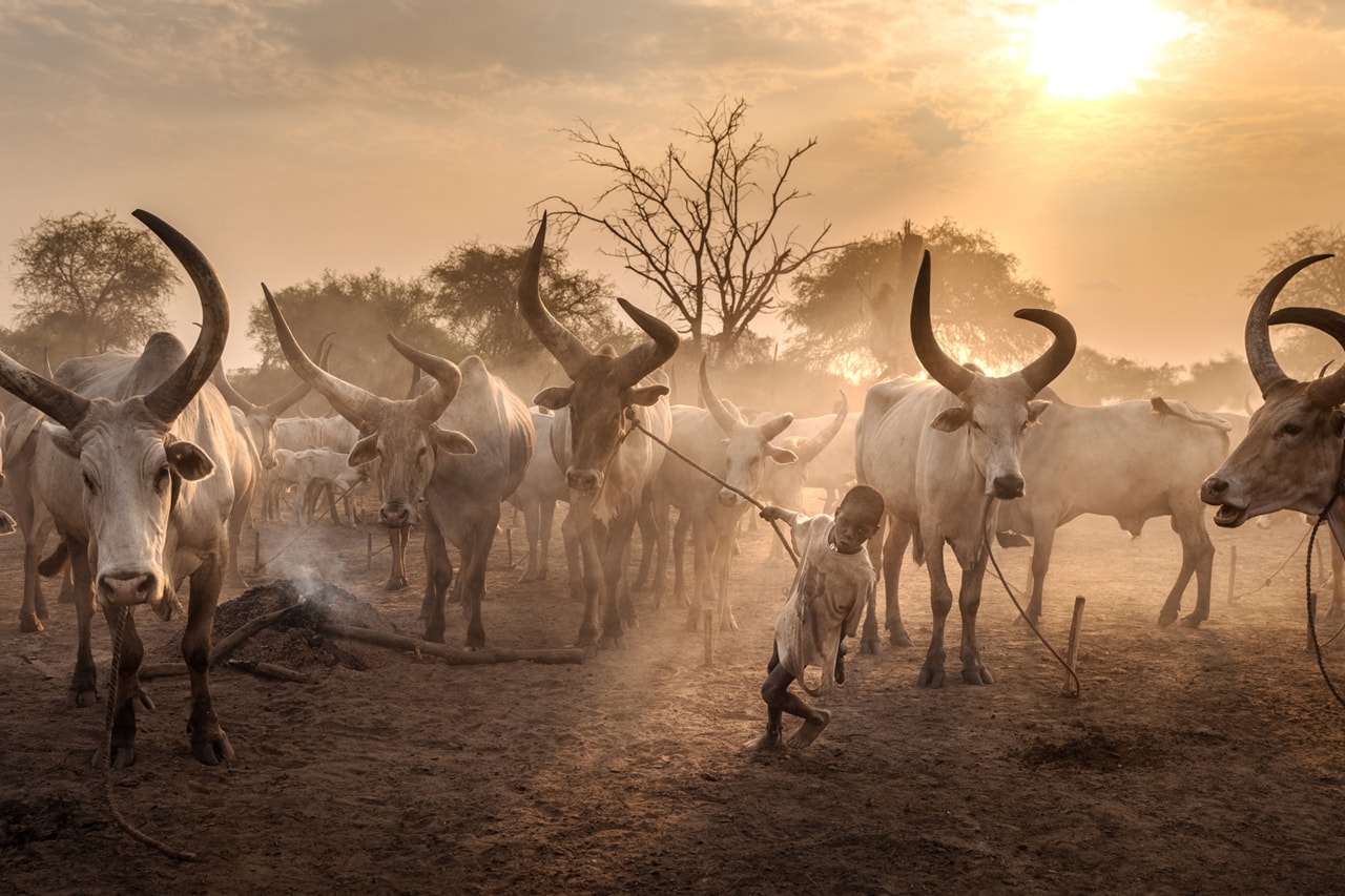 Through the Lens: Daniel Malikyar