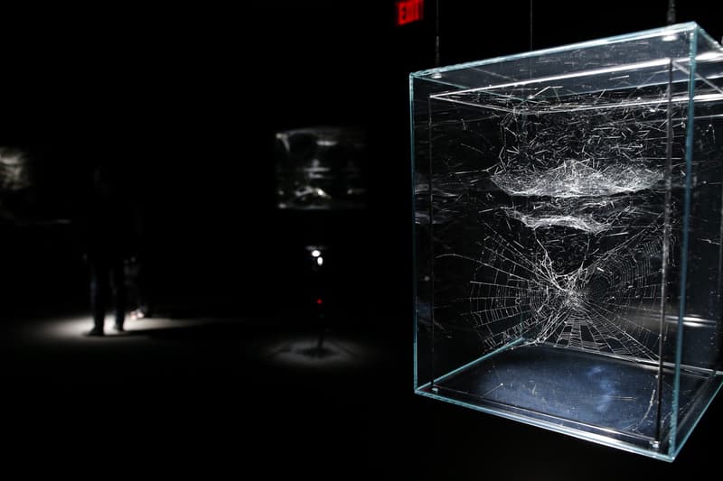 Tomás Saraceno Web(s) of Life Serpentine Gallery