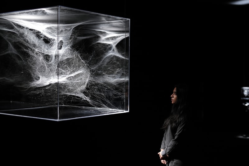 Tomás Saraceno Web(s) of Life Serpentine Gallery