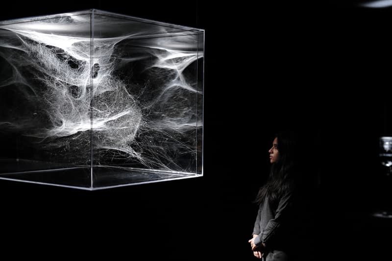 Tomás Saraceno Web(s) of Life Serpentine Gallery