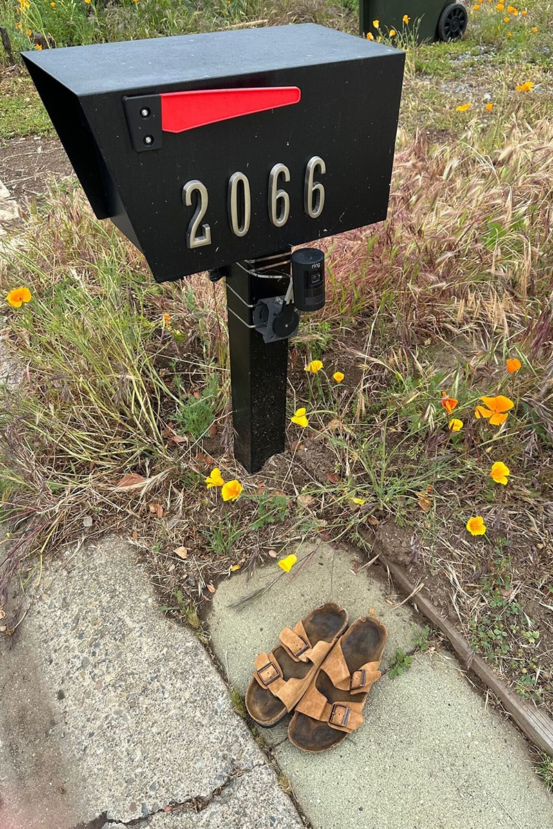 Steve Jobs' Old Birkenstock Sandals Sold for $218,750 at Auction