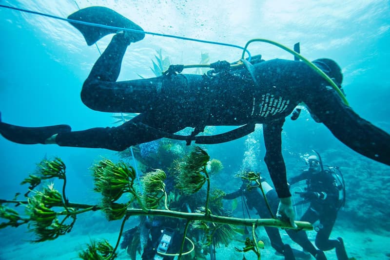Azuma Makoto Submerges Floral Installation in Uncharted Ocean Waters in bloom artist creative flowers natural world coexist japanese sea nature natural world texture shape color vibrant display installation arrangement